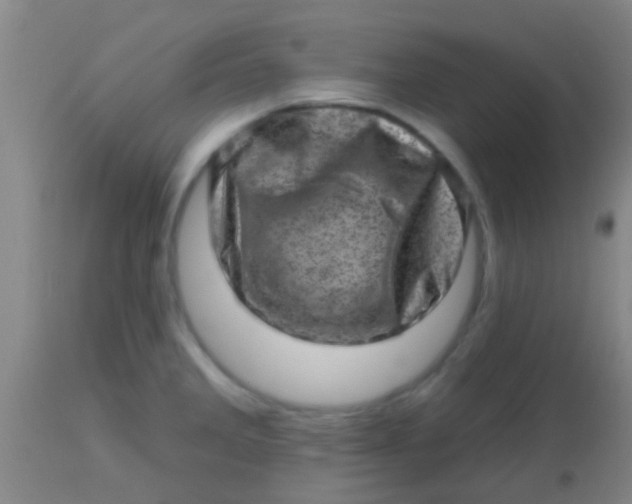 X0000113861285200910151227