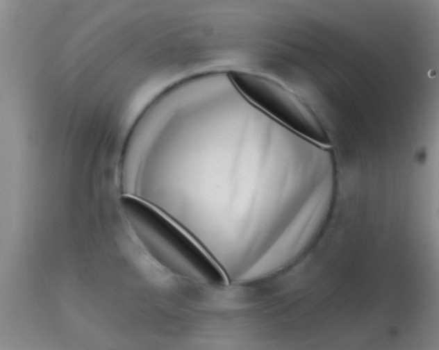 X0000113861288200910151227