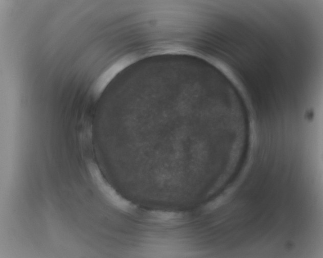 X0000113861289200910151227