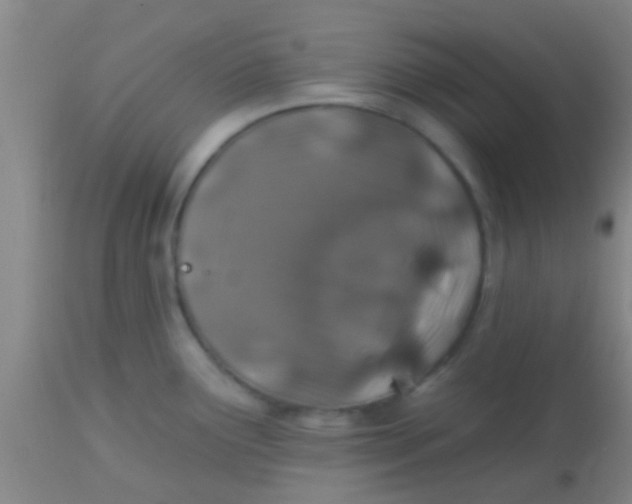 X0000113861291200910151227