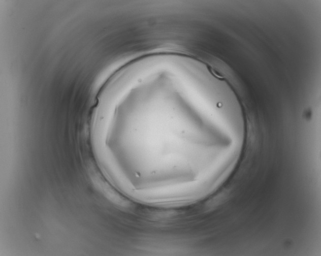 X0000113861292200910151227