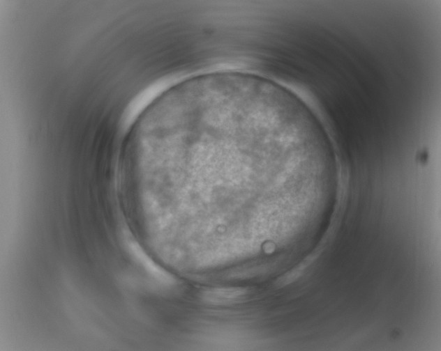 X0000113861294200910151227