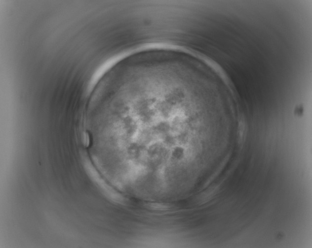 X0000113861295200910151227