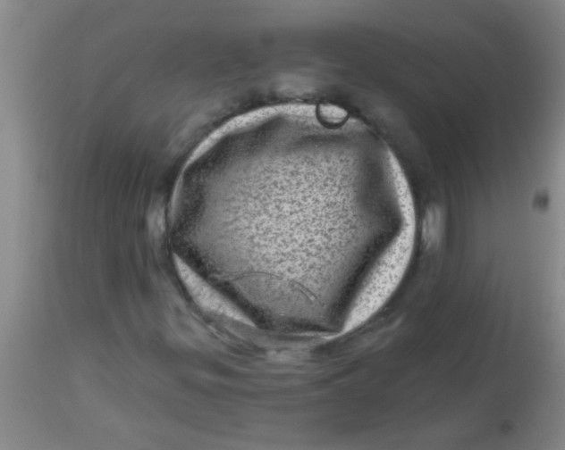 X0000113861299200910151226
