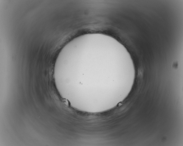 X0000113861300200910151226