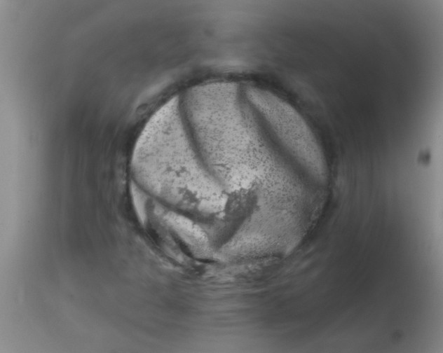 X0000113861301200910151226