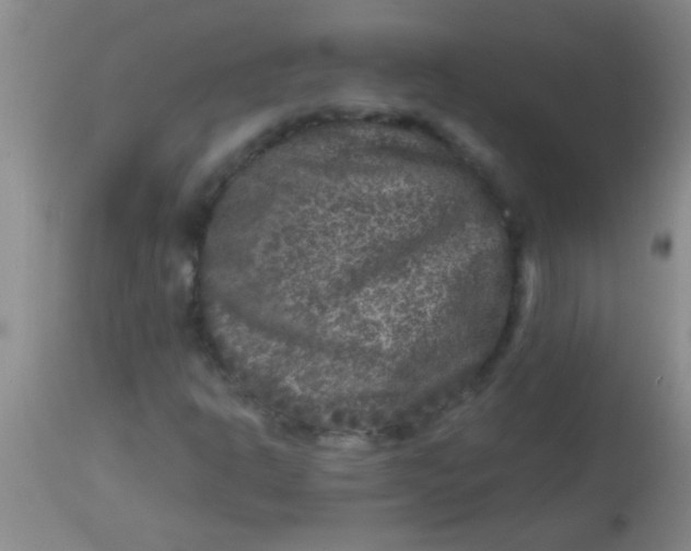 X0000113861302200910151226
