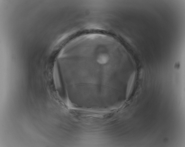 X0000113861303200910151226