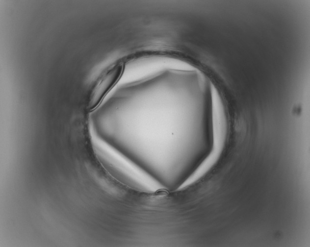 X0000113861304200910151226