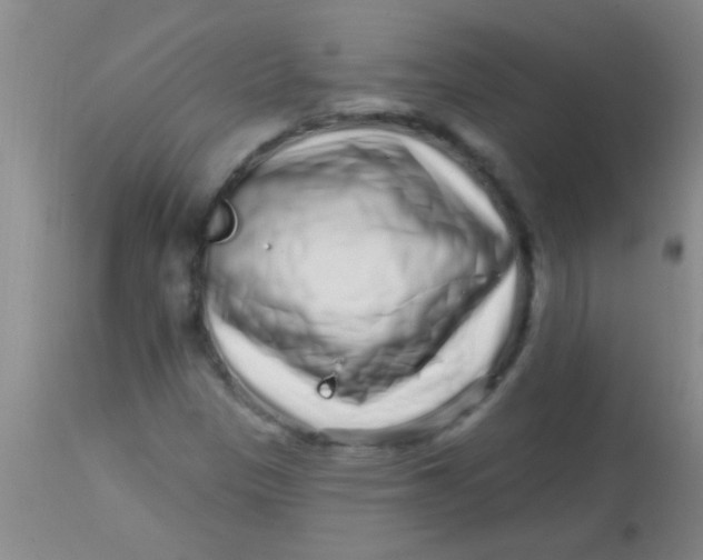 X0000113861305200910151226