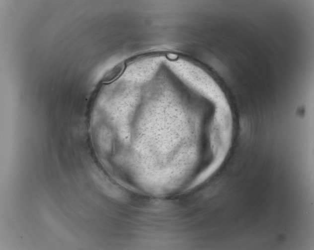 X0000113861308200910151226