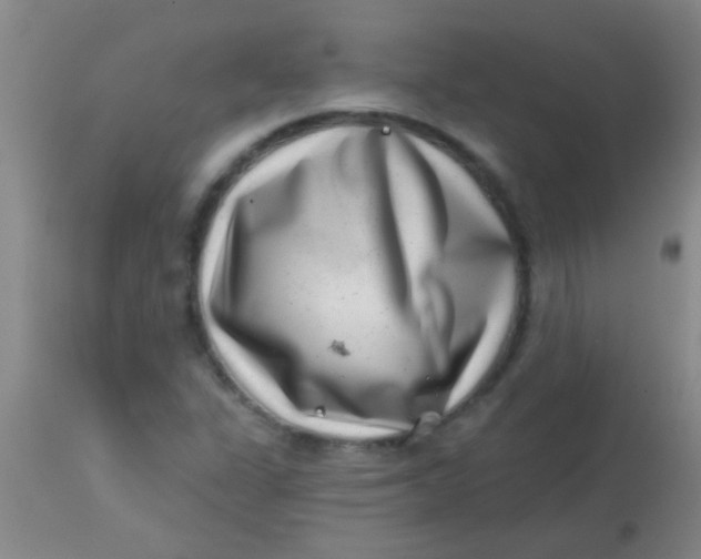 X0000113861311200910151226