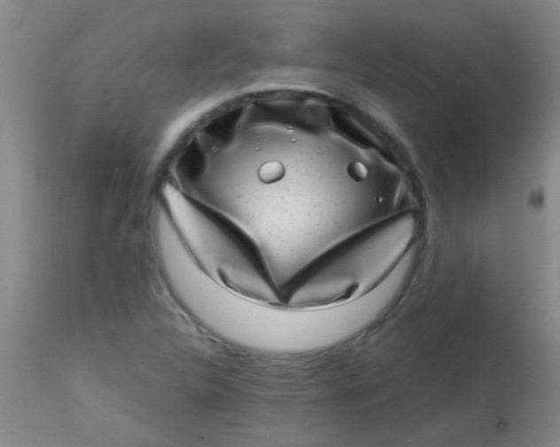 X0000113861312200910151226