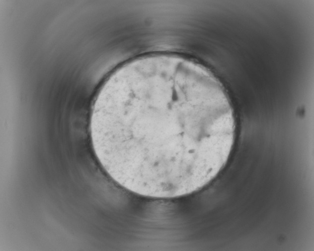 X0000113861314200910151226