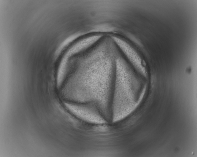 X0000113861315200910151227