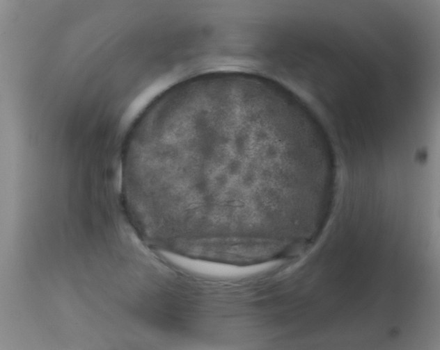 X0000113861317200910151227