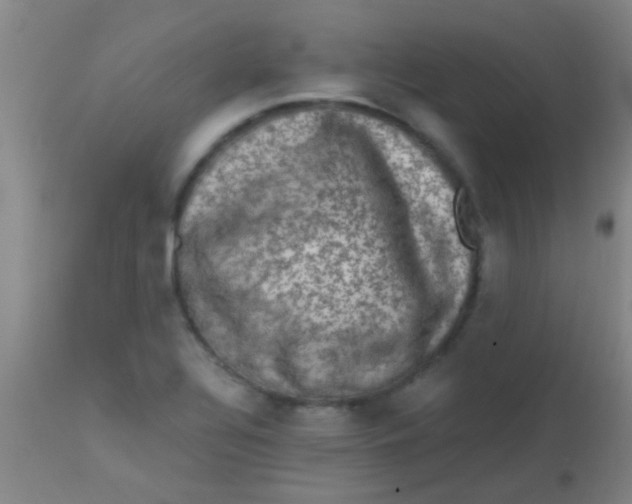 X0000113861320200910151227