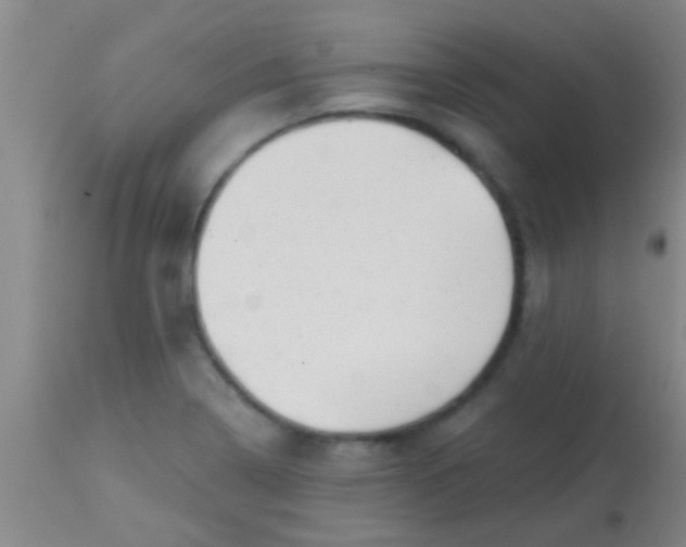 X0000113861322200910151227