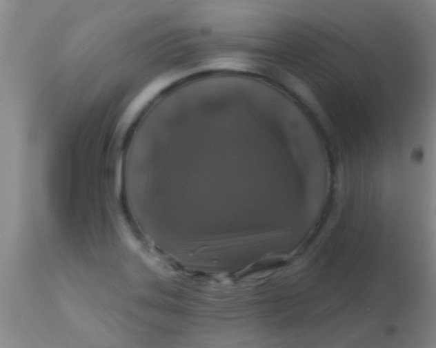 X0000113861323200910151227