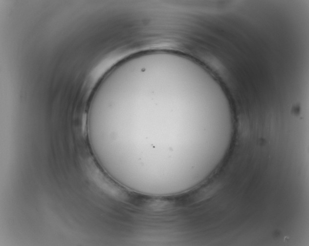 X0000113861324200910151227