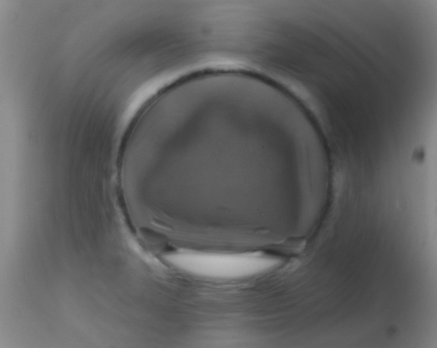 X0000113861327200910151227