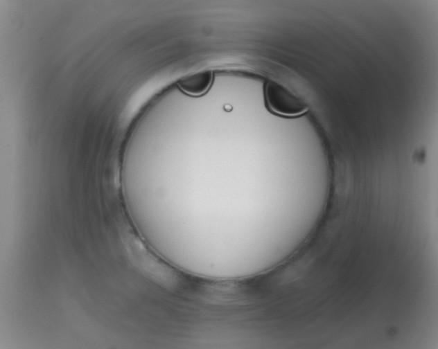 X0000113861328200910151227