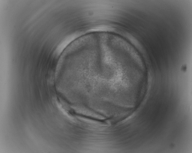 X0000113861329200910151227