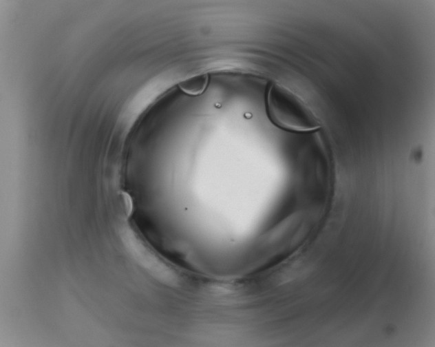 X0000113861330200910151227