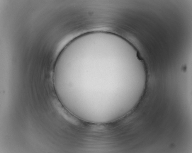 X0000113861332200910151227
