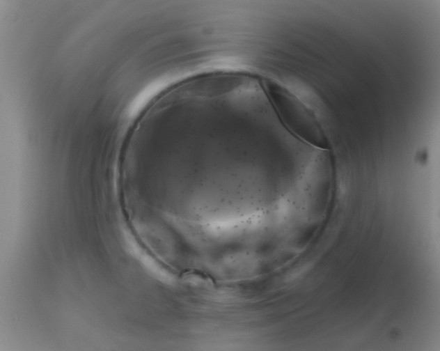 X0000113861334200910151227