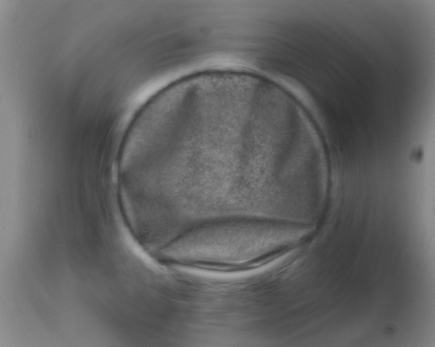 X0000113861335200910151227