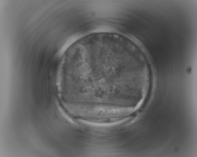 X0000113861337200910151227