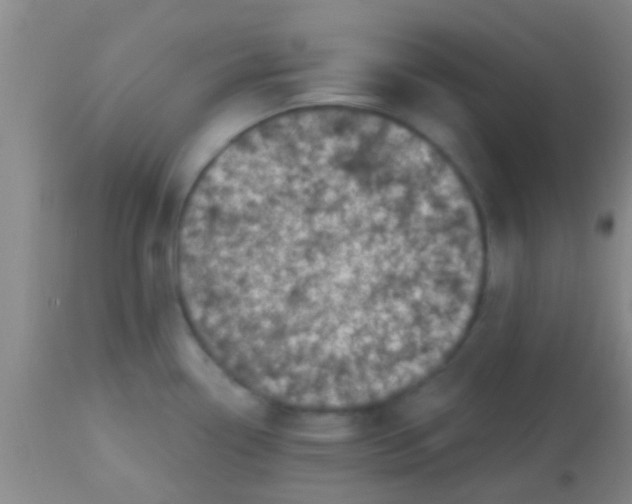 X0000113861338200910151227