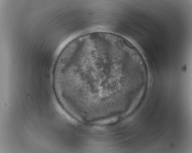 X0000113861341200910151227