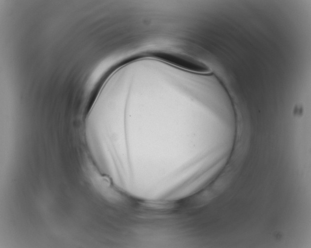 X0000113861344200910151227