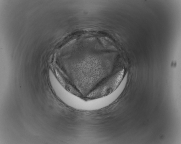 X0000113861345200910151226