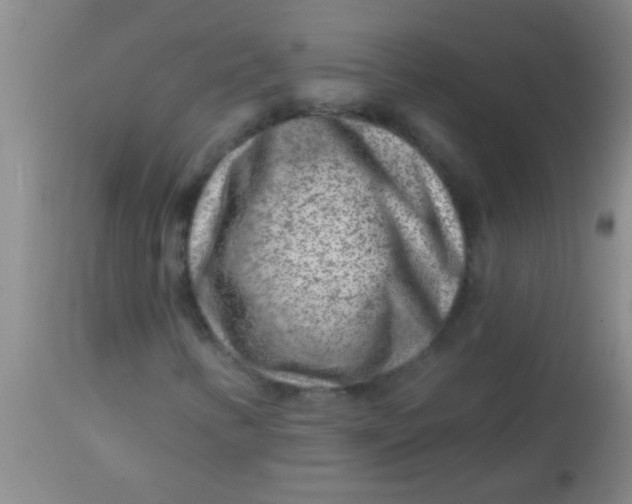 X0000113861346200910151226