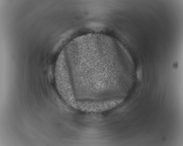 X0000113861347200910151226