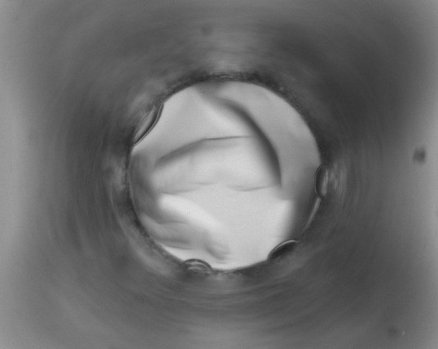 X0000113861348200910151226