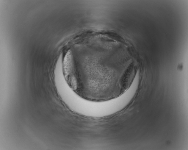 X0000113861349200910151226
