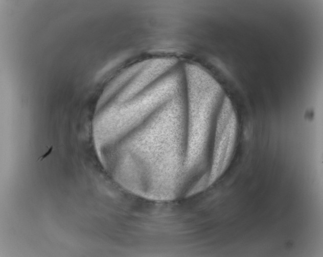 X0000113861350200910151226