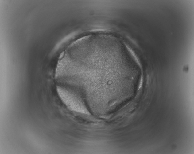 X0000113861351200910151226