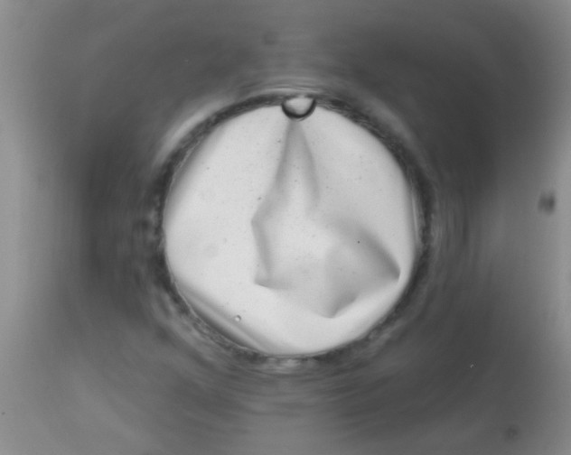 X0000113861352200910151226