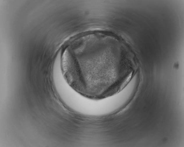 X0000113861353200910151226