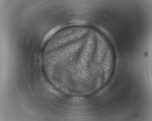 X0000113861354200910151226