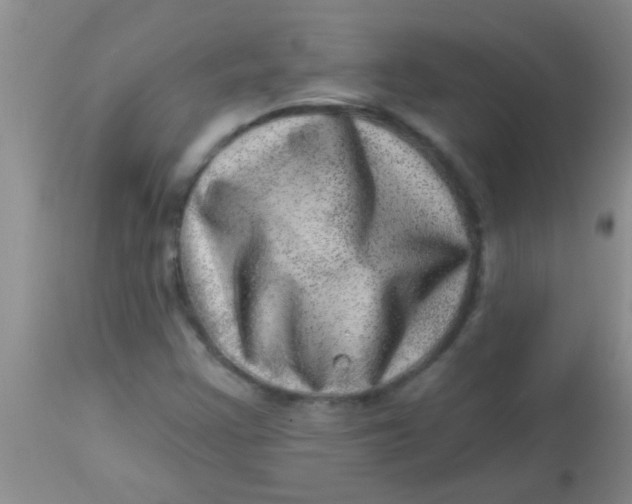 X0000113861355200910151226