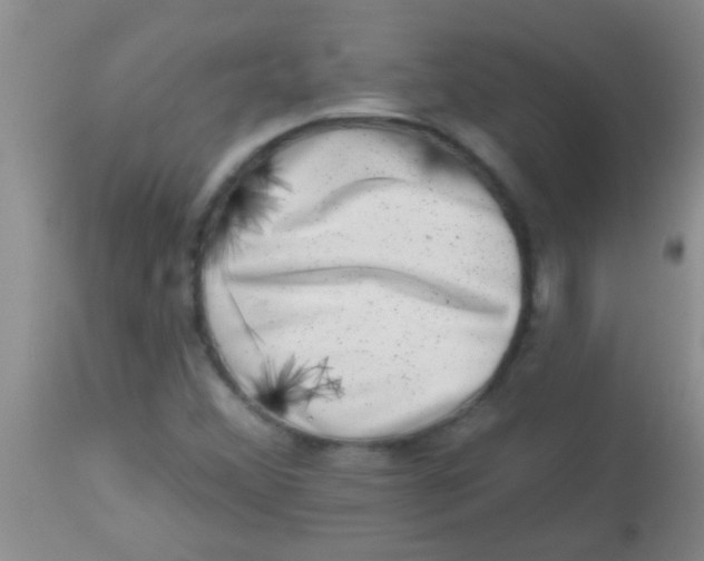 X0000113861356200910151226
