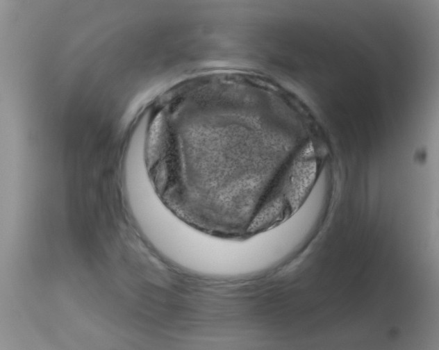 X0000113861357200910151226