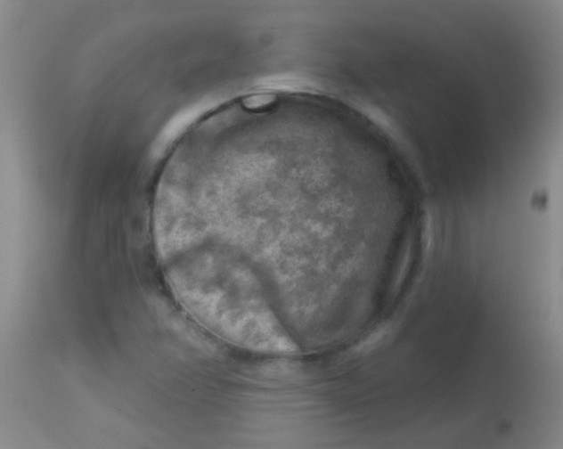 X0000113861358200910151226
