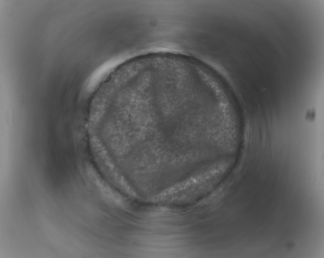 X0000113861359200910151226